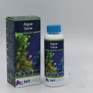Aquarium - Algae Gone