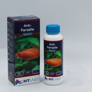 Aquarium - Anti-Parasite