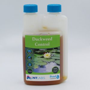 Pond - Duckweed Control