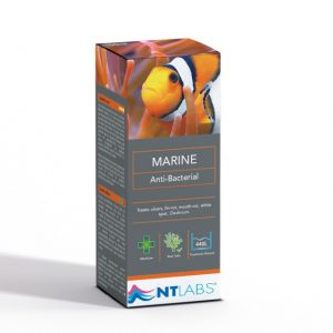 marine-anti-bacterial